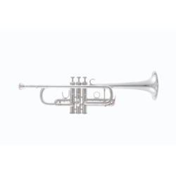 Bach Chicago C Trumpet C190S